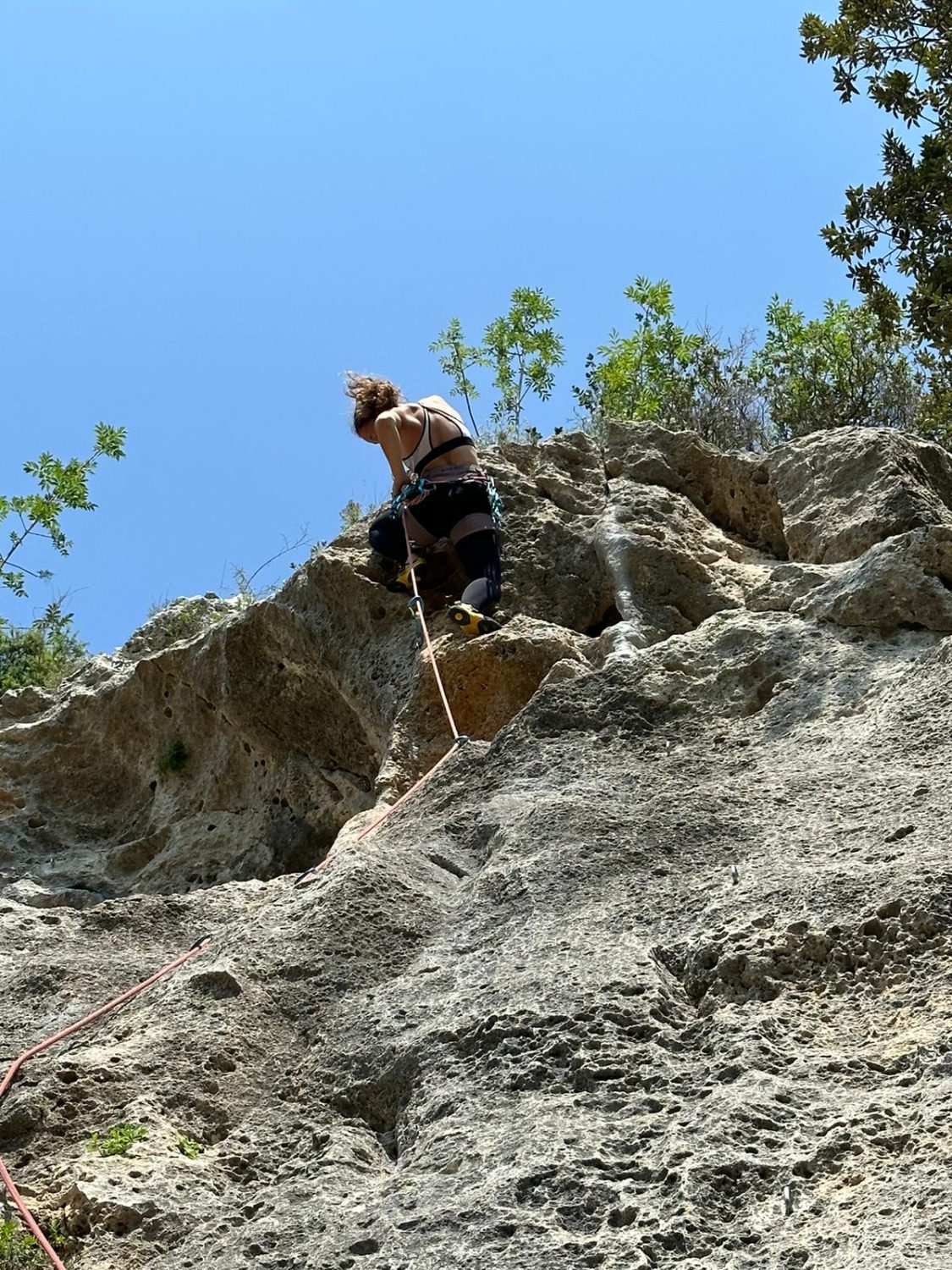 Valentina von Gunten erklimmt in Kletterausrüstung unter strahlend blauem Himmel eine steile Felswand. Kletterseile sind an ihrem Klettergurt befestigt, während sie durch die spärliche grüne Vegetation der Felswand navigiert.