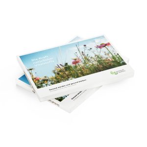 Ratgeber Vitalstoffmedizin