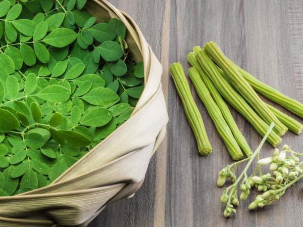 Moringa- Ein Korb mit frischen grünen Moringa-Blättern, -Schoten und -Blüten steht auf Holz – eine schöne Präsentation für alle, die Bio-Moringa-Blattpulver suchen.