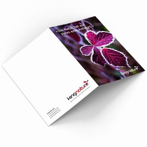 Eine gefaltete Broschüre mit der Nahaufnahme eines lila-grünen Blattes auf dem Cover und dem Text „Die Natur hat auf vieles eine Antwort“. Im Inneren finden Sie das kingnature-Logo und Kontaktdaten.